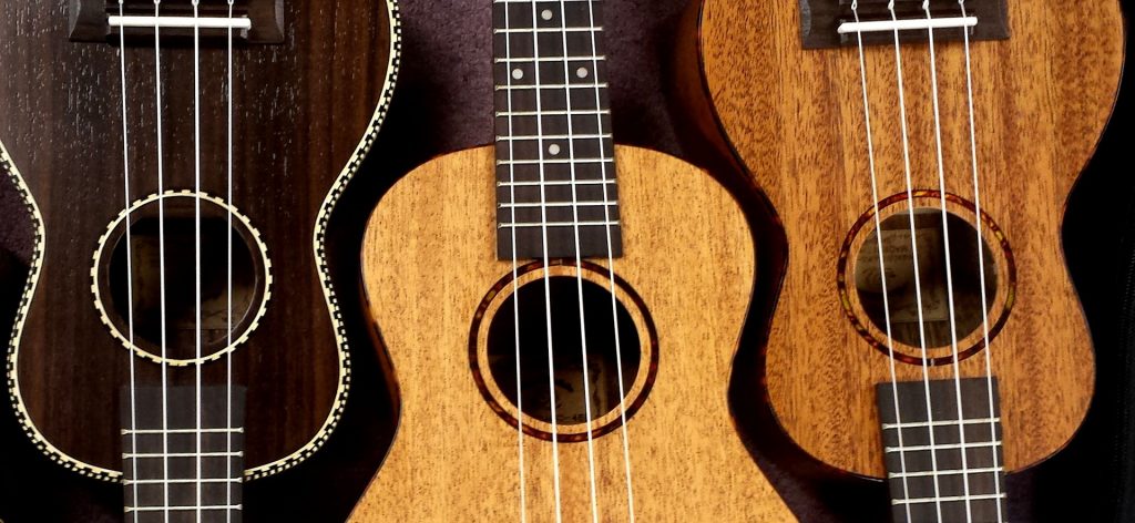 ukulele beginners guide