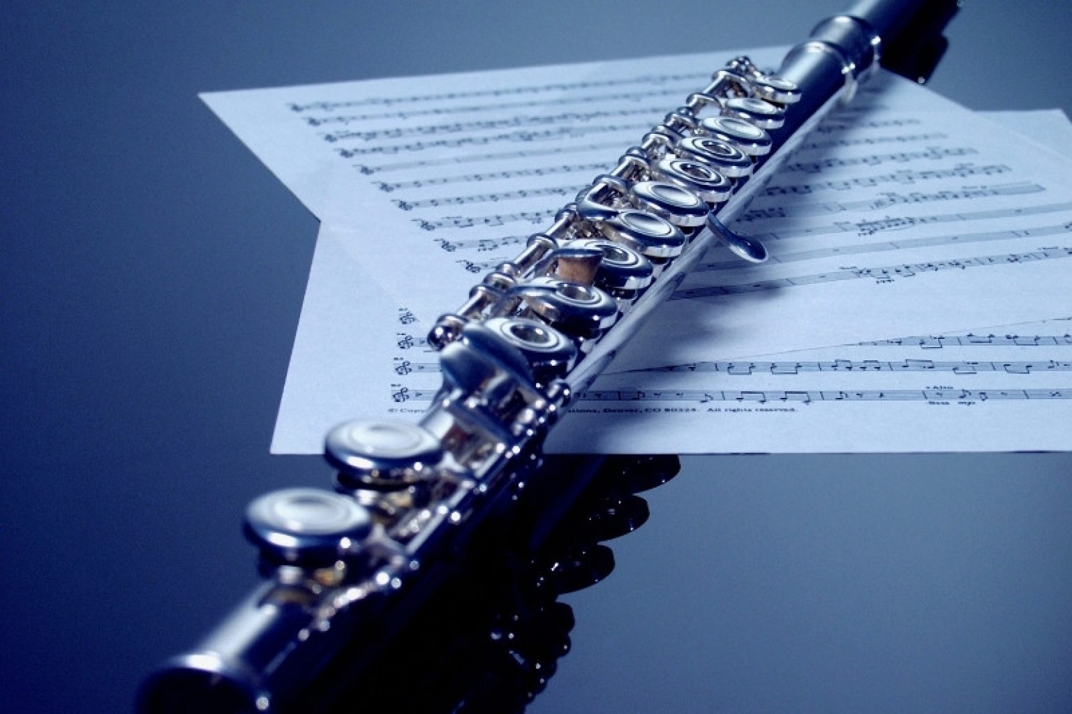 How Much Does a Flute Cost? Pricing Guide - Musician Wave