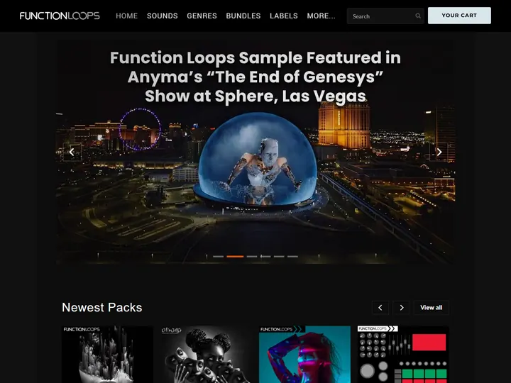 Screenshot of www.functionloops.com